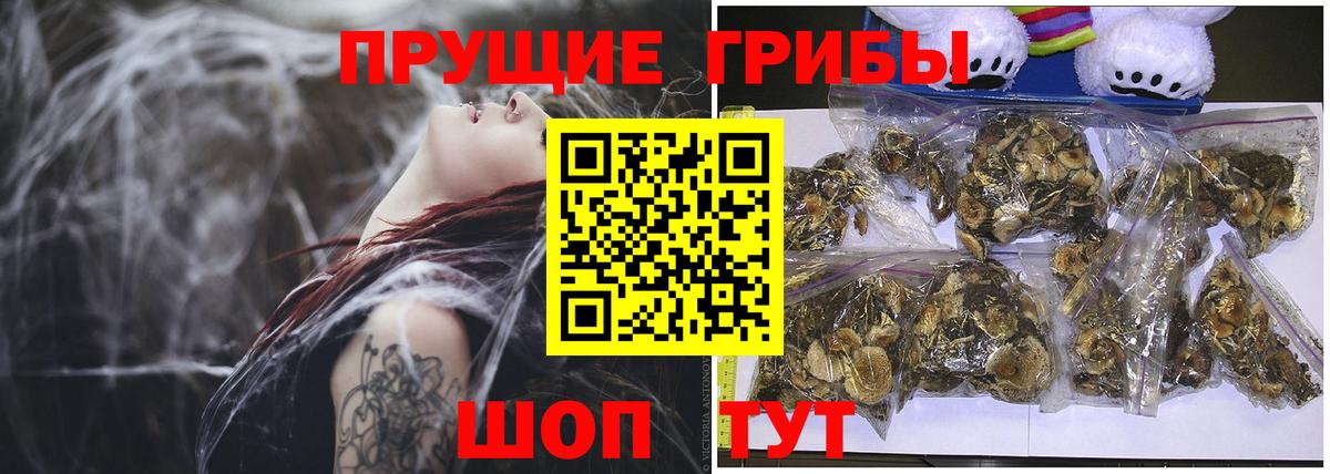 Псилоцибиновые грибы прущие грибы  Вход с VPN  наркотики  Кинель 
