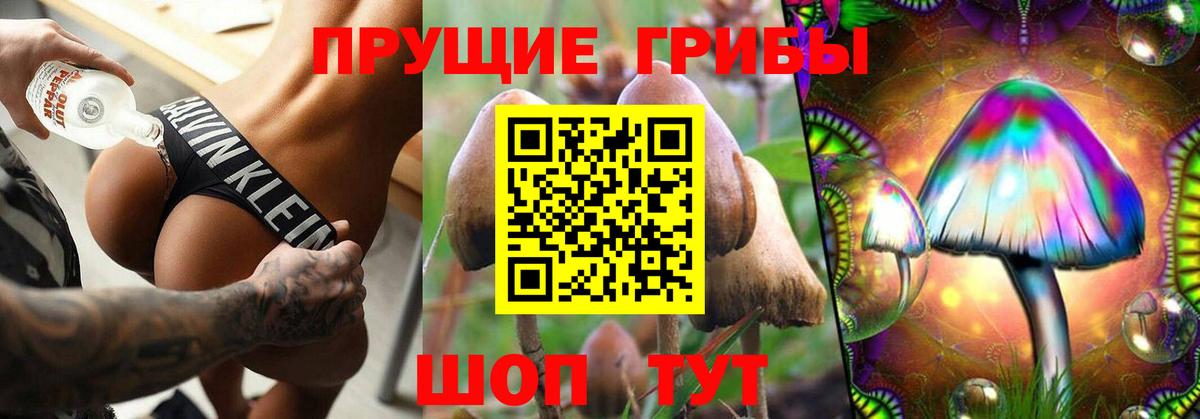 Псилоцибиновые грибы MAGIC MUSHROOMS Кинель